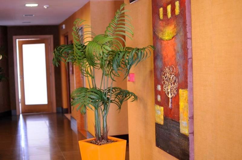 Hotel Fly Casoria Ngoại thất bức ảnh